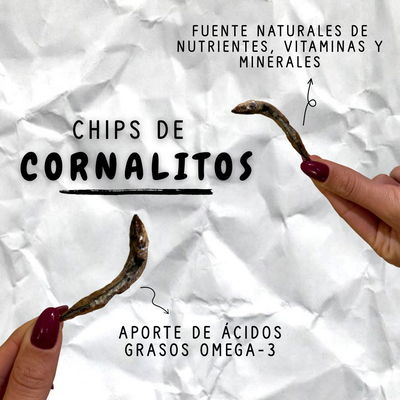 CHIPS de CORNALITOS