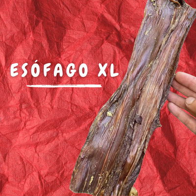 ESÓFAGO XL