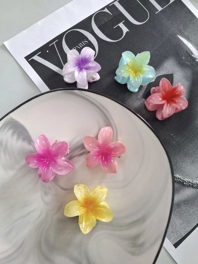 2 Mini Broches Hawaianos