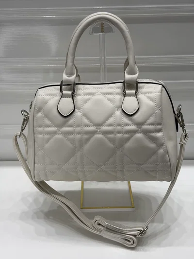 Cartera Di0r Nuevo Ingreso 