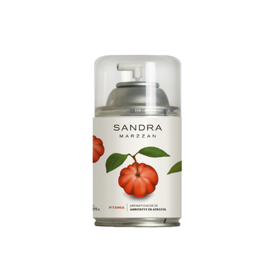 AEROSOLES 270 ML