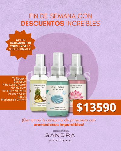 Promo 7 al precio de 6! Aromatizador 120 ml (Nivel 1)