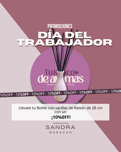 PROMO 10%OFF! Bottle + Varillas de Rattán 28 cm
