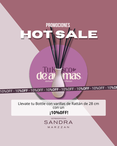 PROMO 10%OFF! Bottle + Varillas de Rattán 28 cm