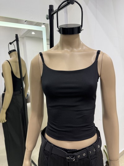 Musculosa Terra