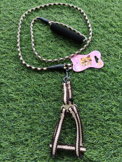 Conjuntos de Pretal + Correa Ajustable