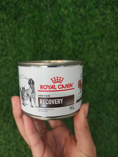 Recovery Royal Canin X 195G