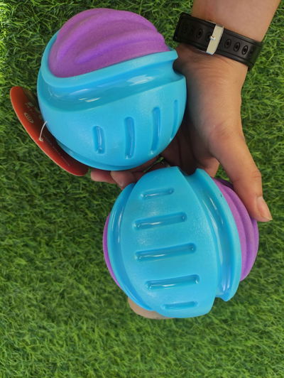 Pelota de Rebote Para Perros Grande 