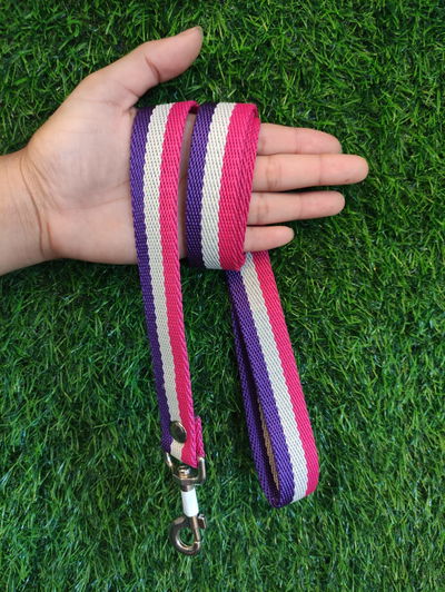 Correa para Perros Rayadas (Colores Varios)