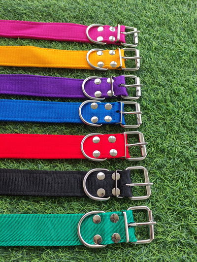 Collar de Nylon Liso