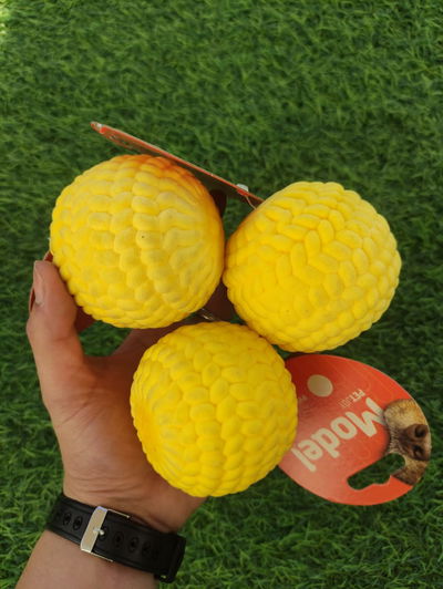 Pelota Para Perro de Goma Maciza