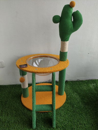 Rascador Cactus
