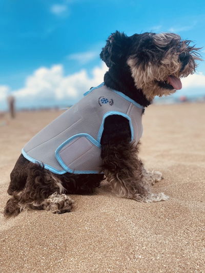 Chaleco Refrigerante Frio