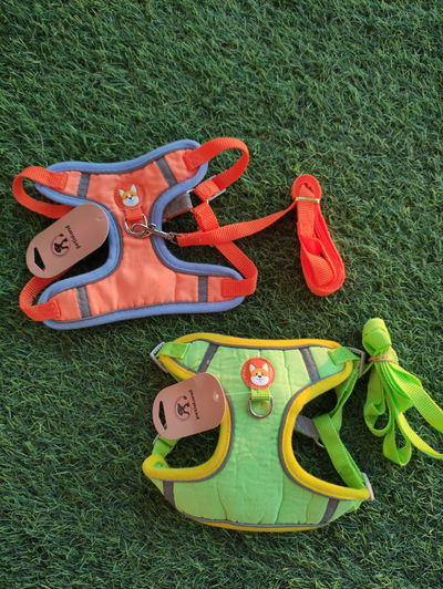 Arnes Pretal Anti- Tirones + Correa