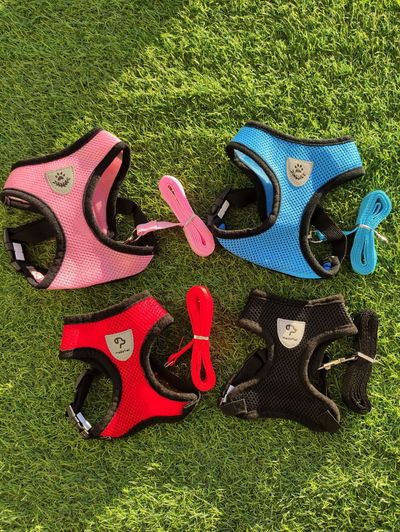 Arnes Chaleco + Correa