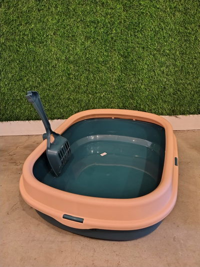 Litera Abierta Con Bordes + Pala