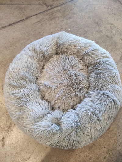 Nido Pelo Largo, Chico