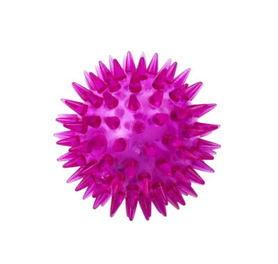 Pelota Con Luz Y Chifle