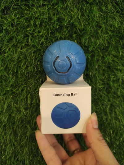 Pelota Inteligente Para Perros