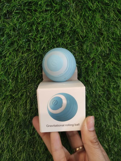 Pelota Inteligente Recargable Para Gatos