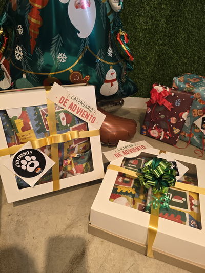 Calendarios de Adviento Para Perros y Gatos
