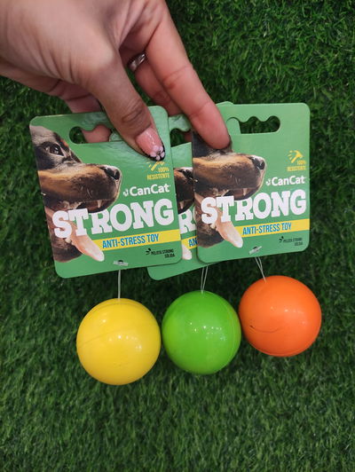 Pelota Solida Can Cat Mediana