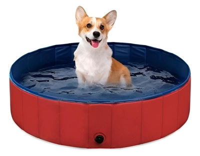 Pileta Plegable Para Mascotas