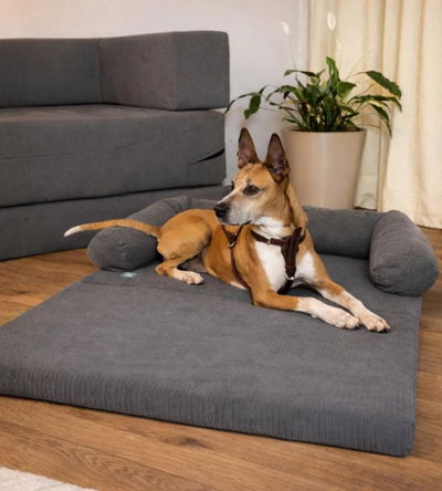 Sofá Cama Ortopédico Grande