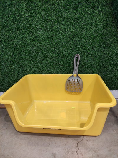 LITERA ALTA ABIERTA CON PALITA