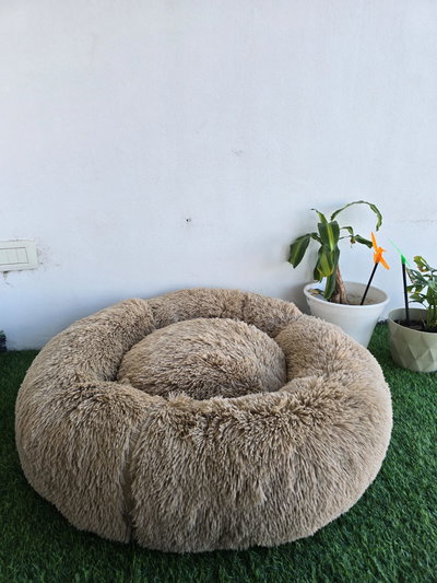 Moisés Nórdico Pelo Largo - Linea Premium Talla L