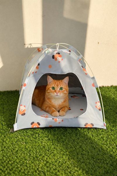Carpa Para Gatos Grande