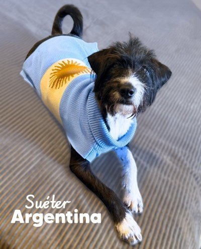 Suéter Tejido Argentina 