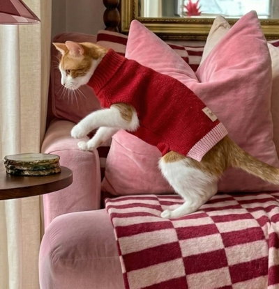 Sweater Tejido Cherry