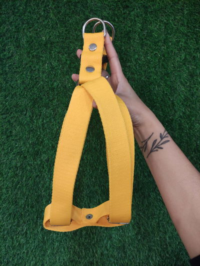 Pretal Regulable Liso N° 5