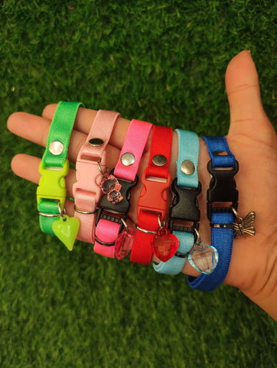 Collar Elástico Regulable Colores Lisos