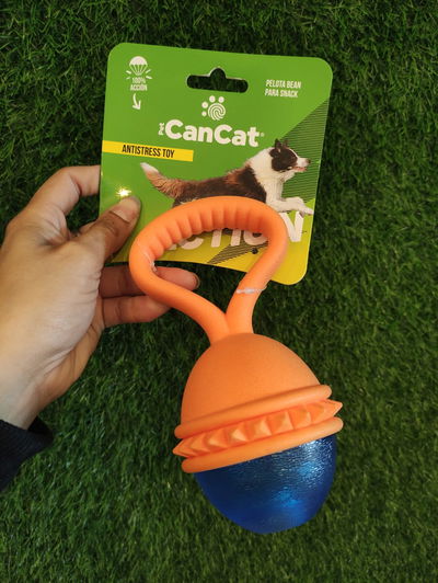 Pelota Bean Para Snack Can Cat
