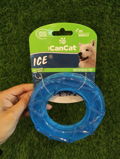 Aro Can Cat Mordillo ICE