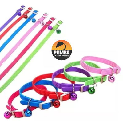Collar Elastizado Para Gato