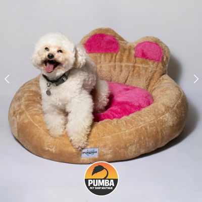 Moisés Huellita Talla S