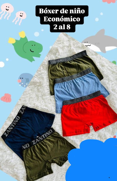 Docena de boxer económico niño liso CK