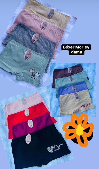 Docena de boxer dama Morley importado