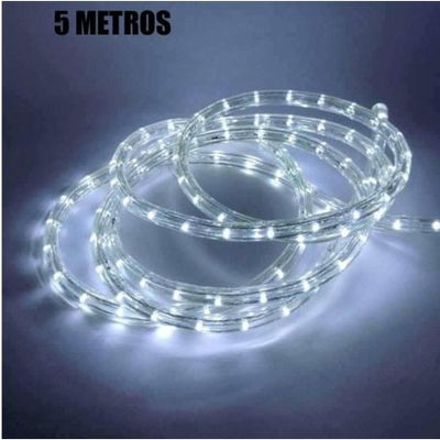 Manguera led navidad x5mts blanco frio