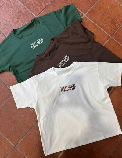 Remera Oversize bordada