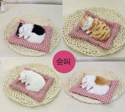 Adorno gatito 16x17cm Modelo surtido