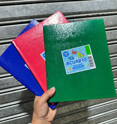 Pack x 6 - Cuadernos Tapa Dura N3 48 hojas