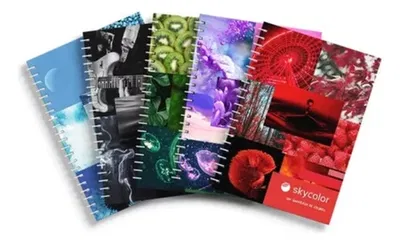 Cuadernillo universitario skycolor