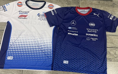 PACK x 10 - REMERAS COLAPINTO SURTIDAS ADULTO