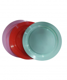 DOCENA DE PLATO PLASTICO PLAYO COLOR 16CM
