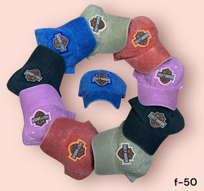 Gorras Vintage Harley Davinson bordado