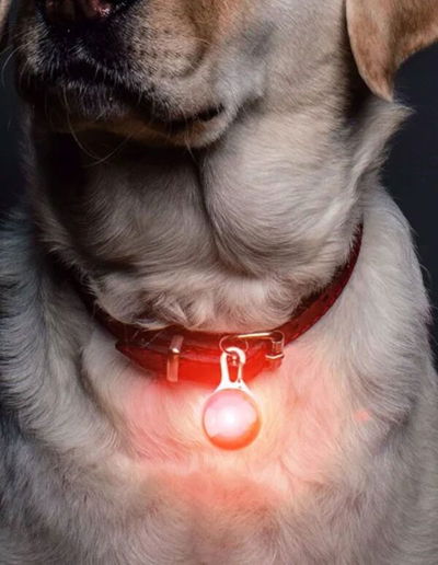 LUZ LED PARA MASCOTAS C/U